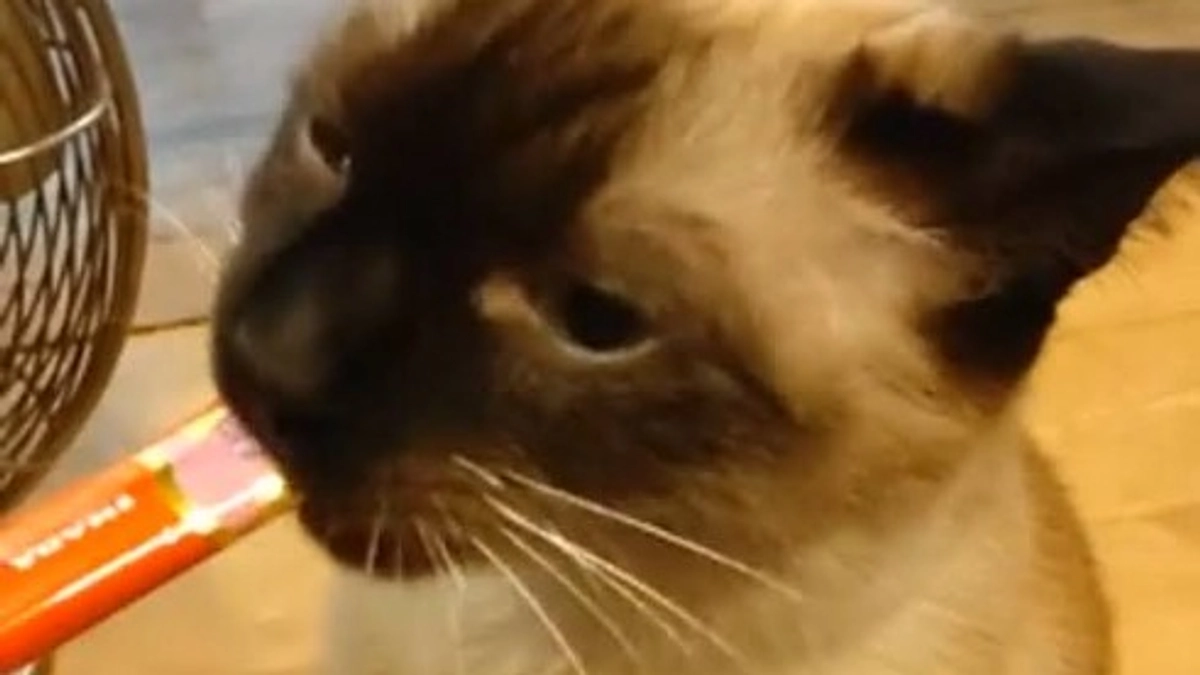 ★2023.6/18 投薬開始66日目★