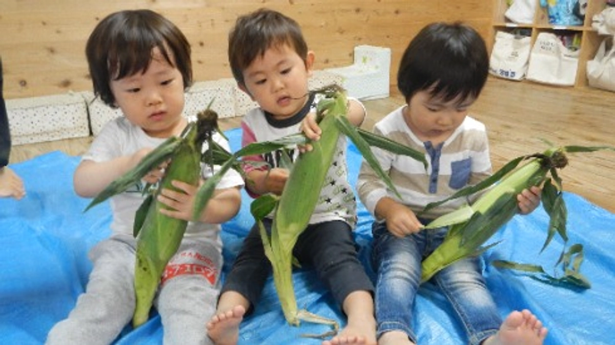 本クラウドファンディングはAll-or-Nothingです。9月12日までに100万円を獲得したい！