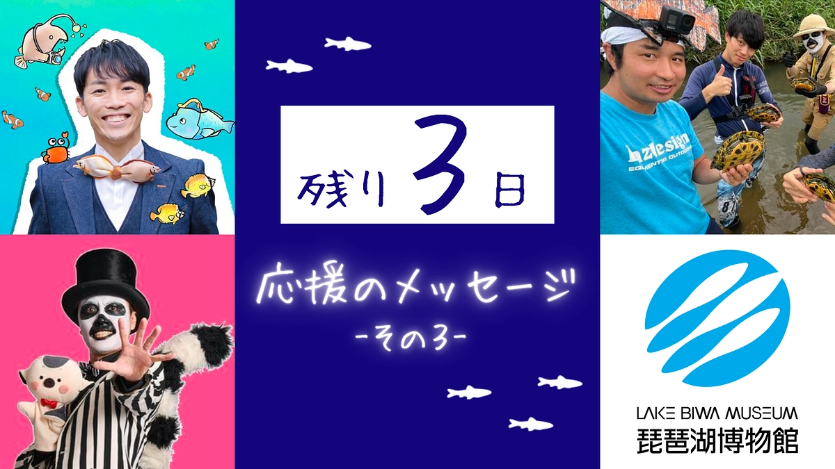 【残り3日】応援のメッセージをご紹介 ―その3―