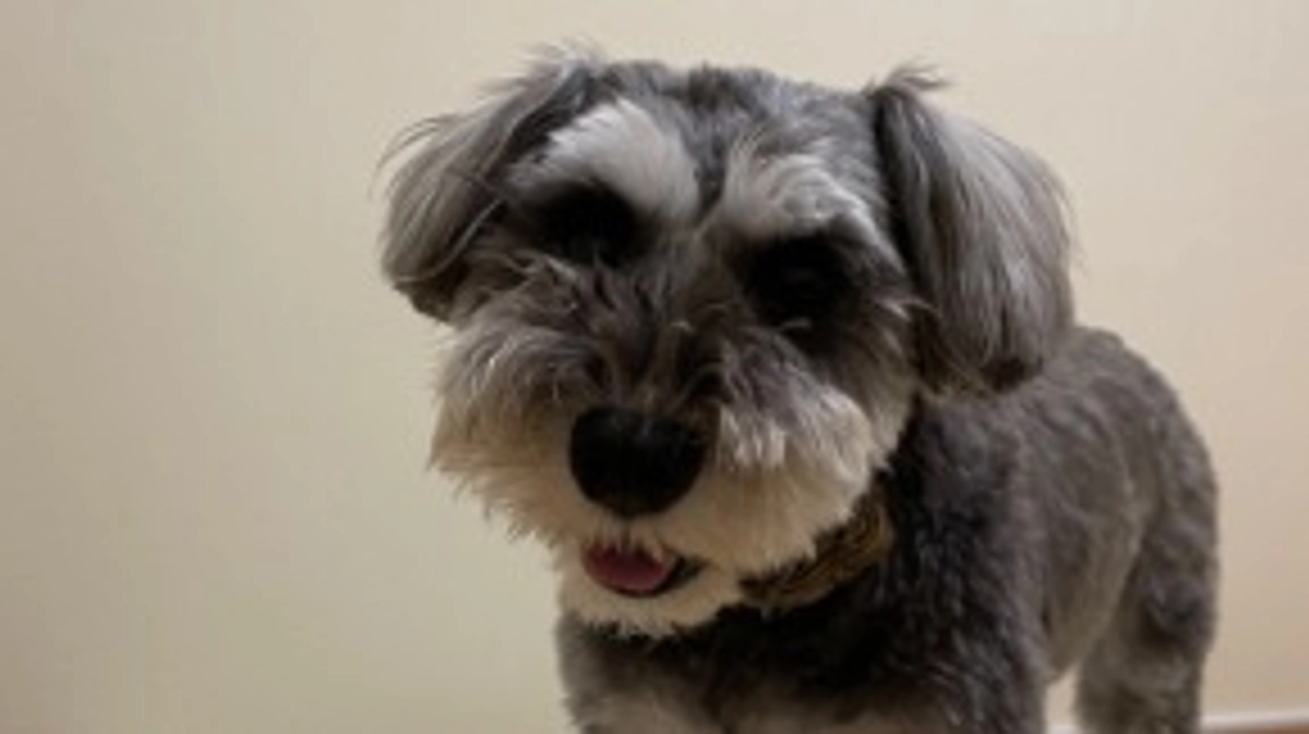 本日は2回目の術前検診！