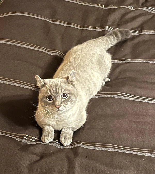 クラウドファンディング残り３日となりました。もう少しだけ皆様のお力をお借りしたくお願い申し上げます。