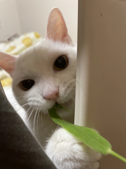 心から有り難うございます😺✨️