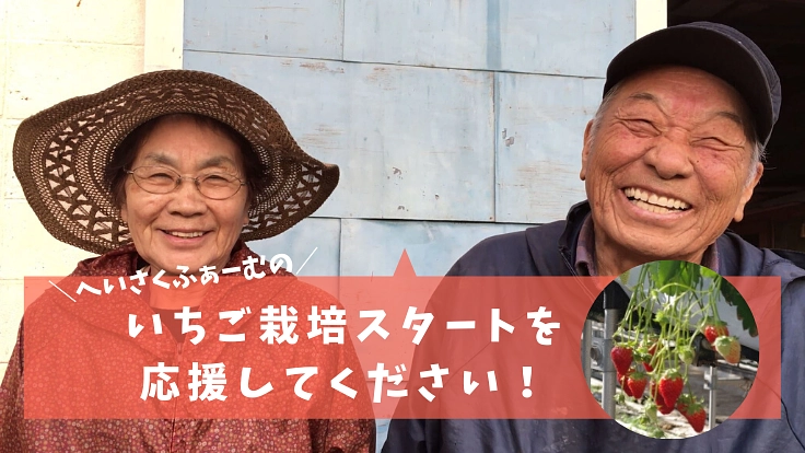 北海道厚真町・復興のシンボルとして、いちご栽培を開始したい！