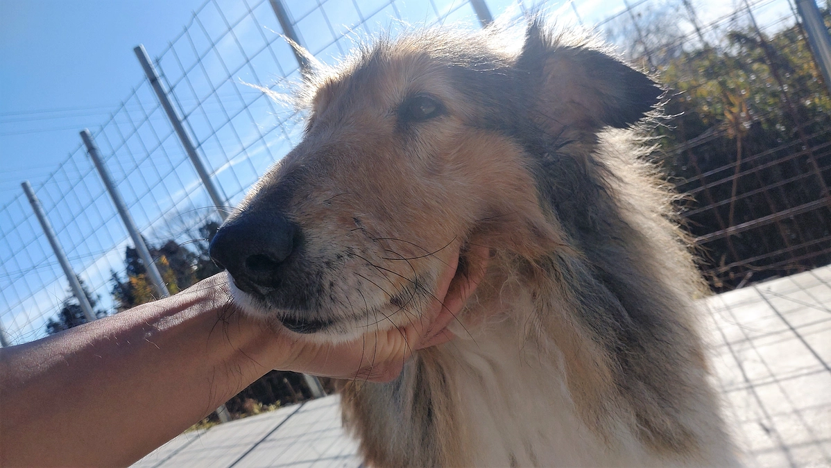 2024年、多大なるご支援ありがとうございました