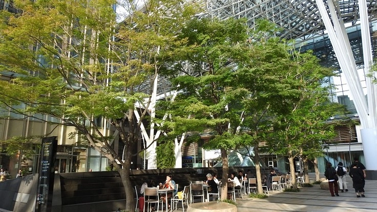 意外と知られていない東京の「緑」の楽しみ方、お伝えします