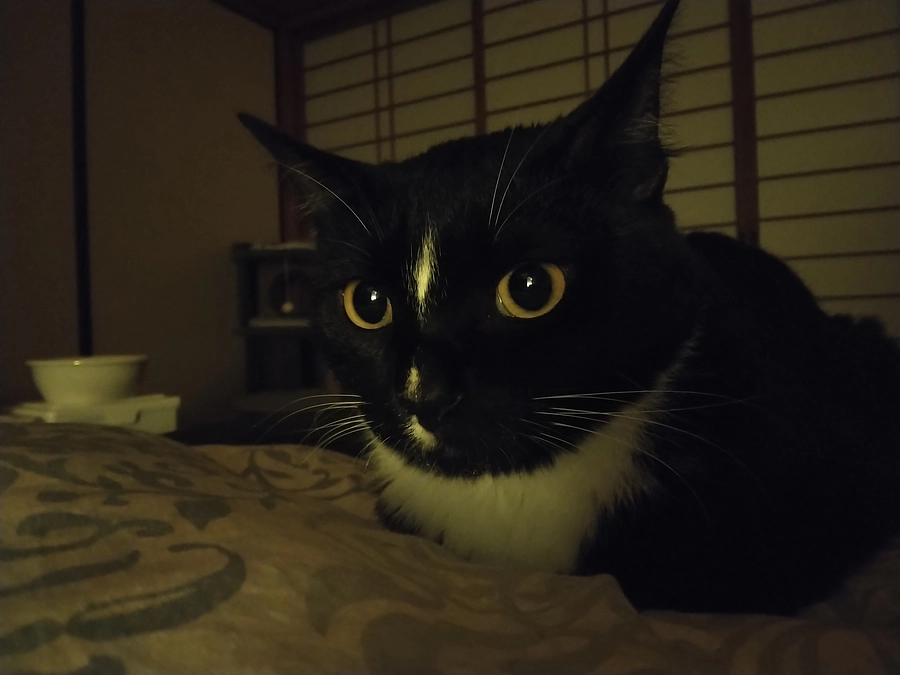 6/12はなちゃんの様子(発作あり)