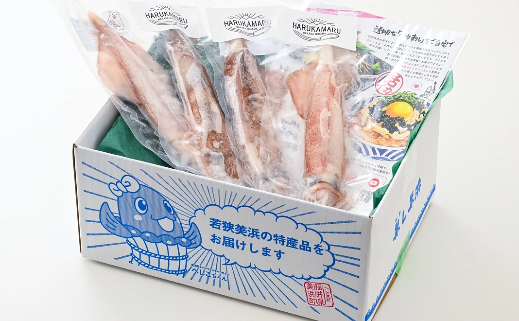 お刺身で食べるマイナス60℃冷凍アオリイカ約５００ｇ2〜3杯【福井県外の方】