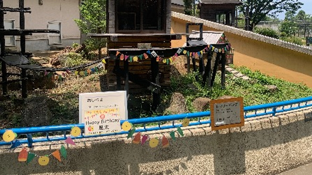 風太21歳スペシャルお食事プレゼント！