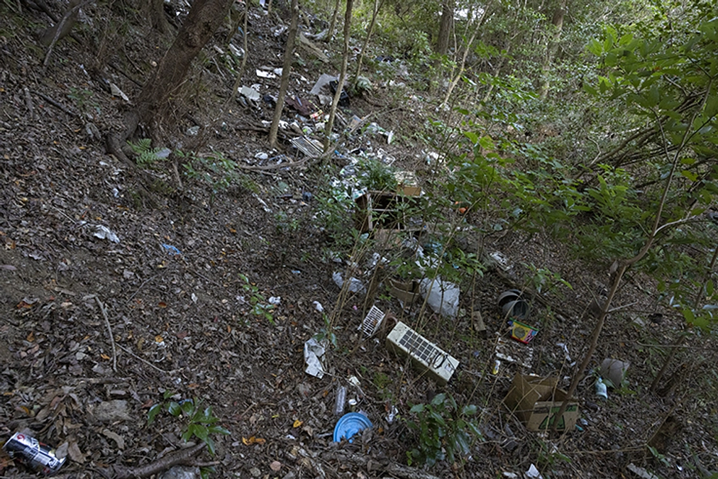 海のごみは陸からもやってくる