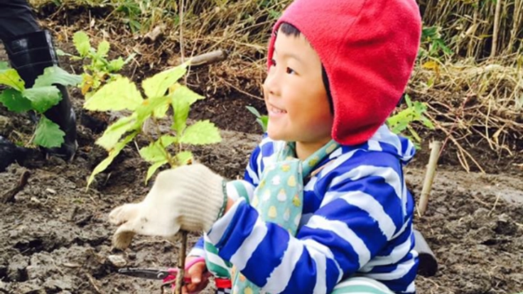 洞爺湖で、地球からの愛を体感しながら学ぶ植樹祭を開催したい。