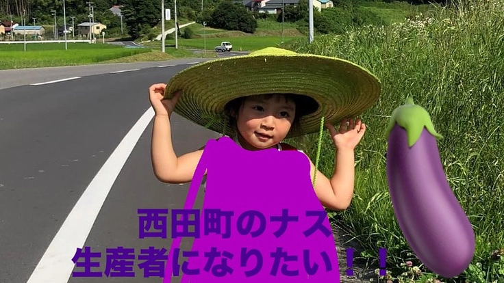 西田町のナス生産者になりたい！