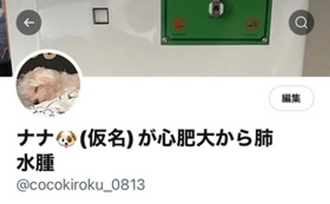 Twitterにて報告させていただきます。