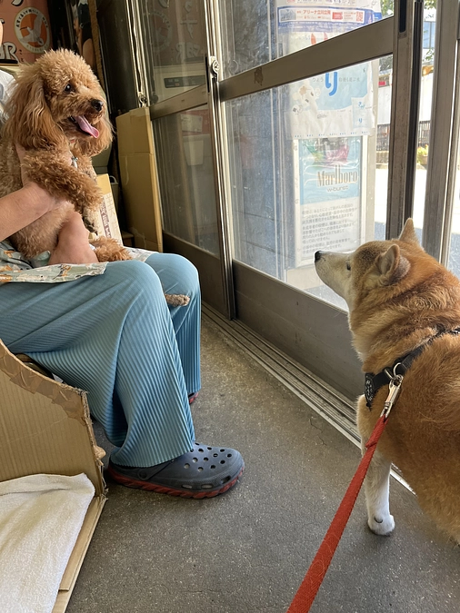 痛みがないということ