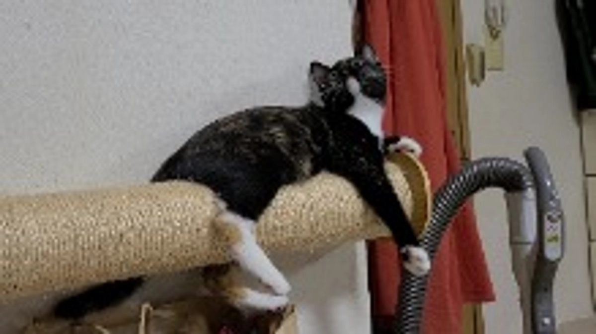 プロジェクト達成しました！！