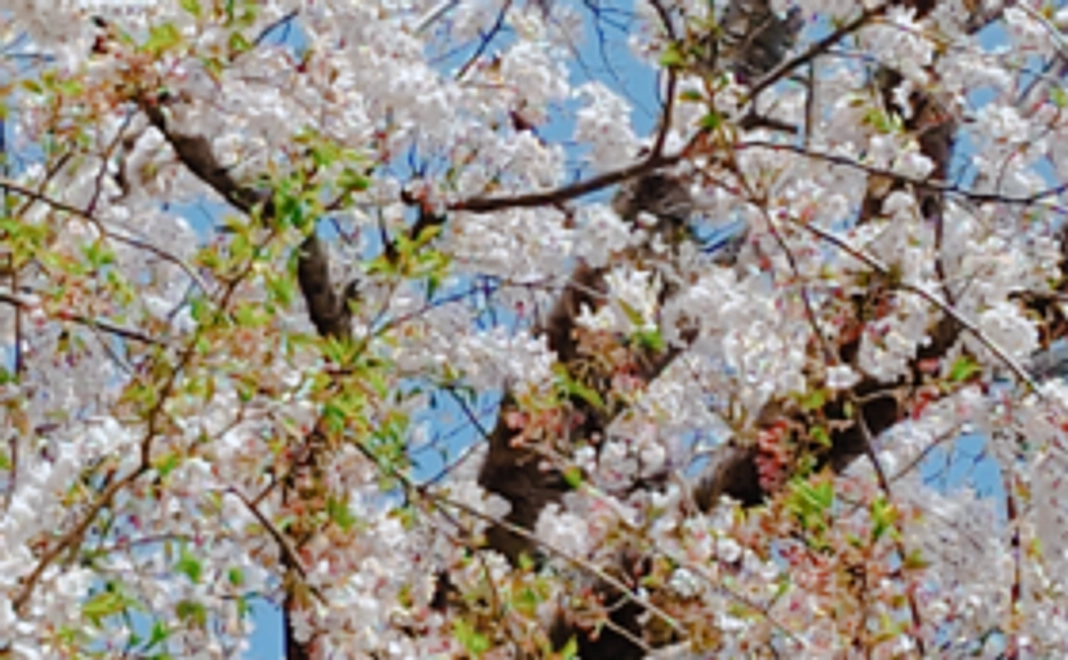 ☆あきらめないで!沢山の人が応援してます☆