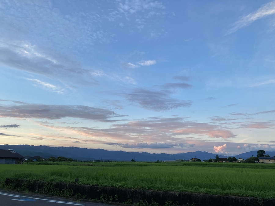 爪をどうするか