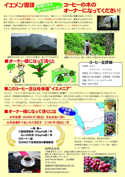 世界初！イエメンコーヒーの木オーナー制度