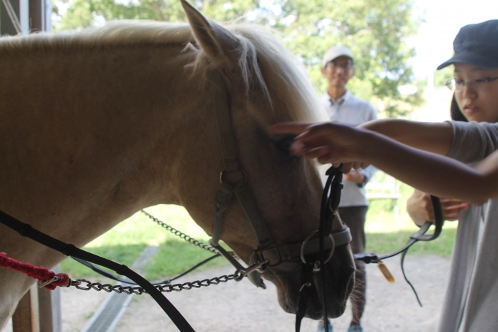 こんな旅あります。仕事旅行のご紹介②「ホースセラピスト」