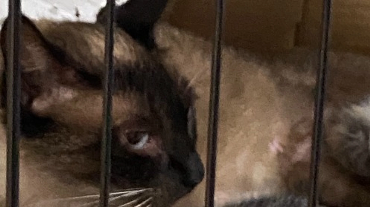 退院しました！