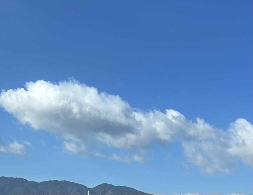 あいちゃん無事にお空へ🌈　お見送りしました
