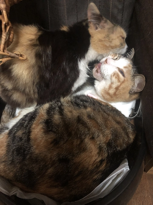 経過報告◆退院後　1週目