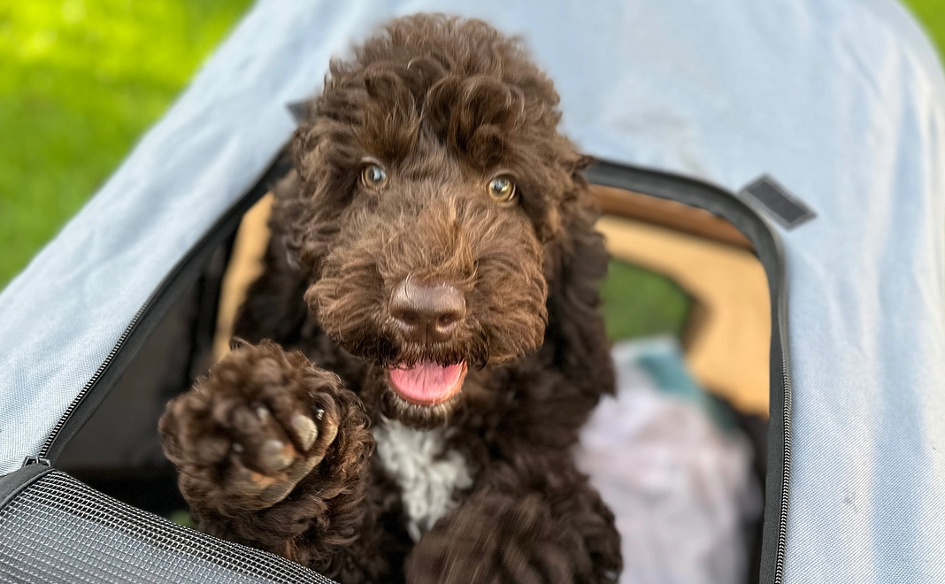 応援コース【5万円】