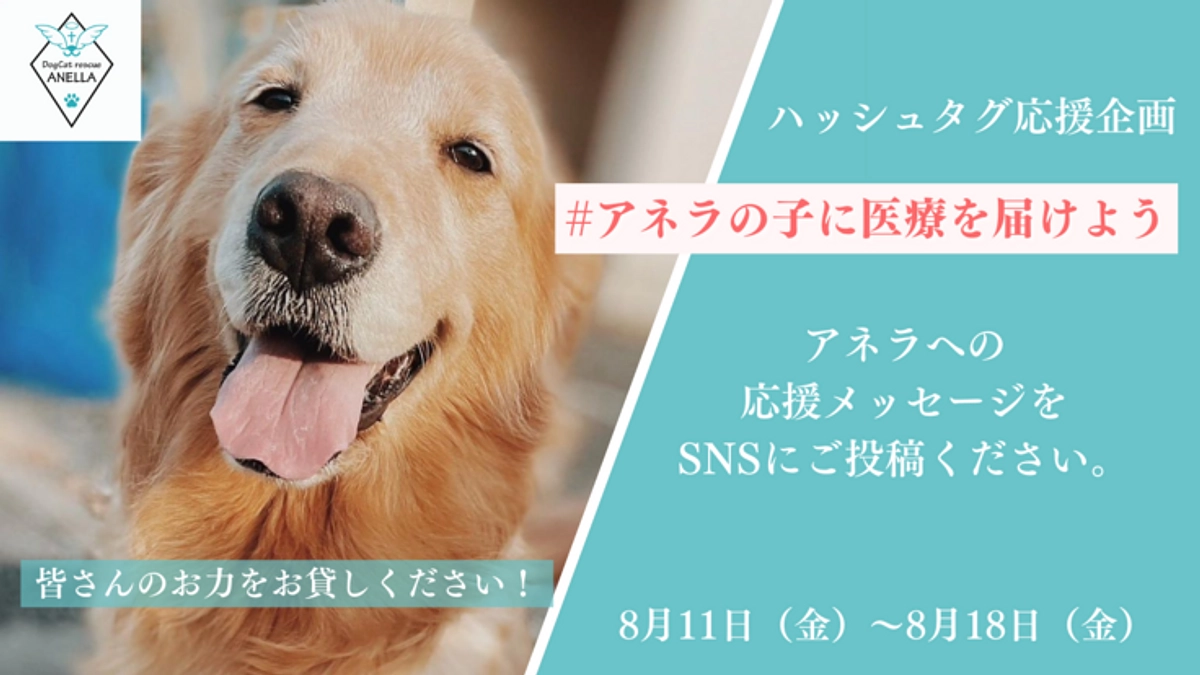 【残り15時間】本日23時まで！あと70万円です！