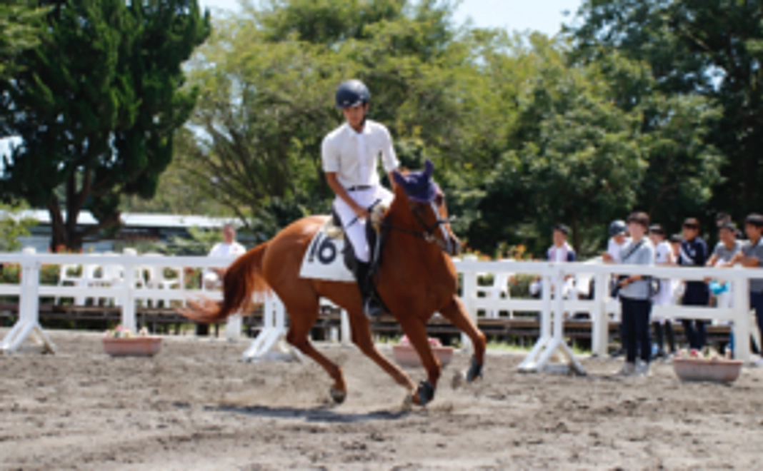 個人協賛コース（B） [送料・税込み]