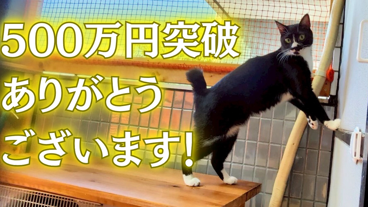 🌸【感謝】🌸500万円突破ありがとうございます！！🌸