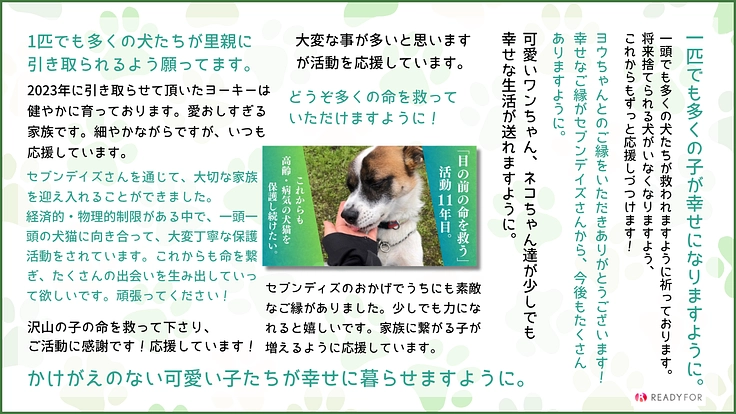 救う命を選ばない。どんな犬猫も保護し続け福岡の里親さんを増やしたい 8枚目