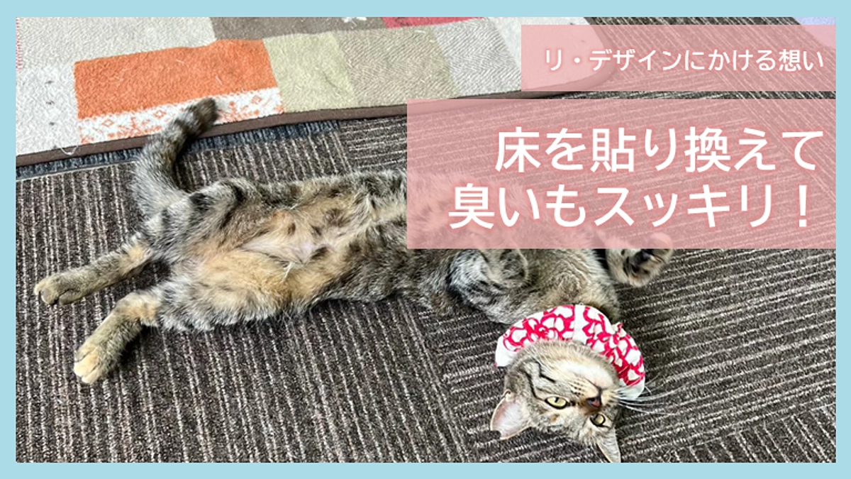 リ・デザインにかける想い｜床を貼り換えて臭いもスッキリ！