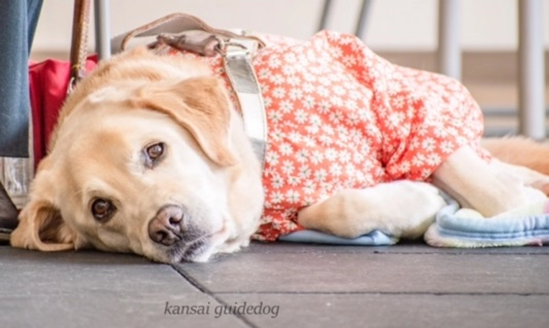 それぞれの出発（２０２３／０５／３０）