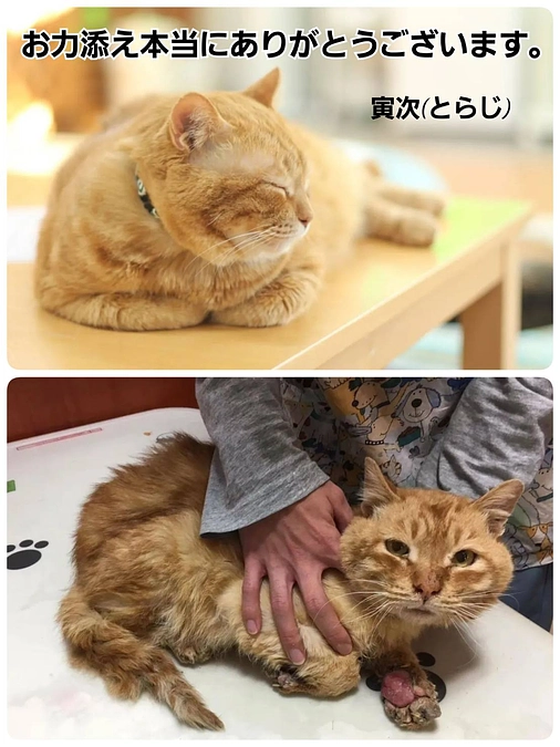 応援いただいた皆様へ　本当に本当にありがとうございました。