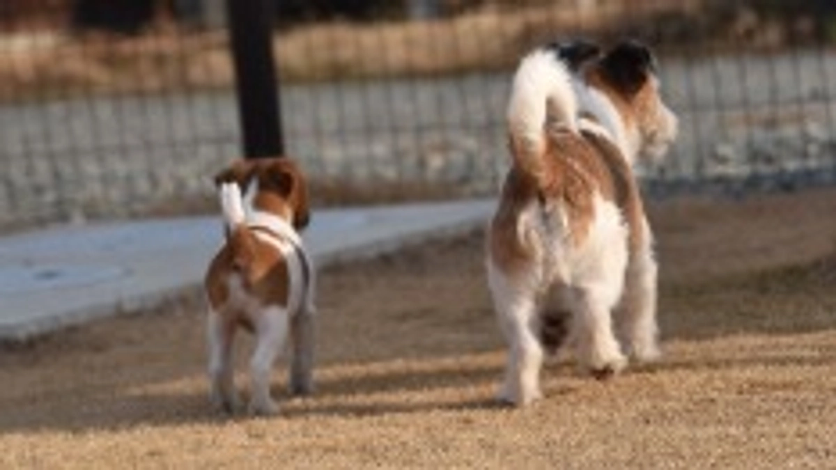 【ご報告】プロジェクト進捗および各リターン対応について