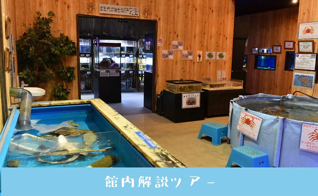 スタッフによる解説ツアーで応援