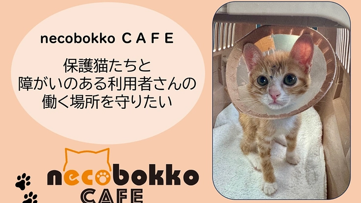 【保護猫たちと障がいのある利用者さんの働く場所を守りたい】