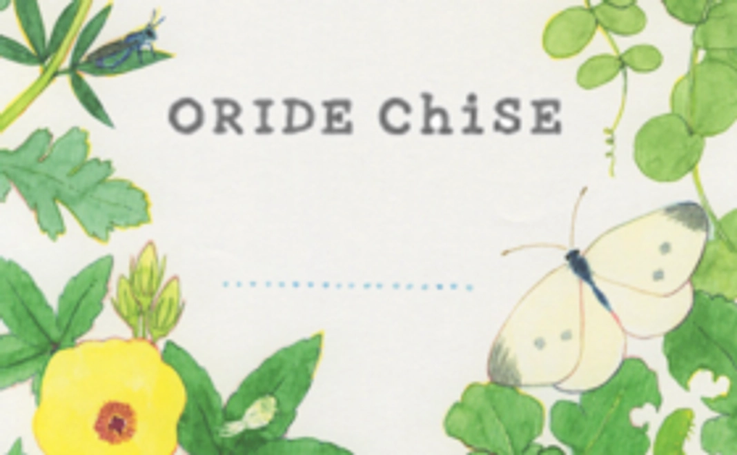 車内にメッセージで応援！