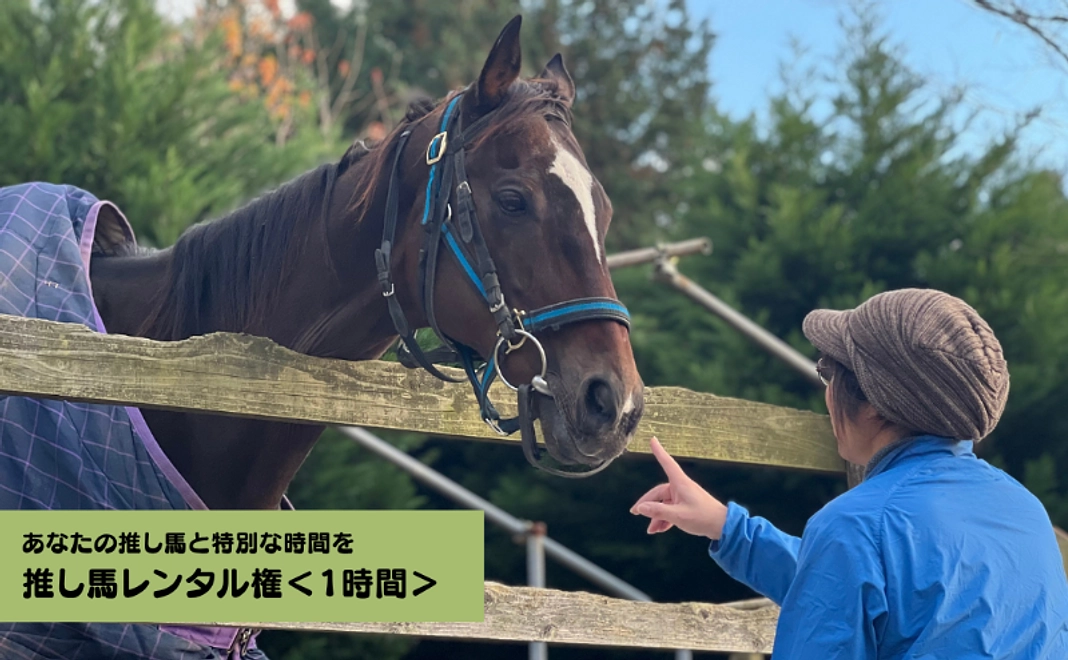 【あなたの推し馬と特別な時間を】1時間 推し馬レンタル権
