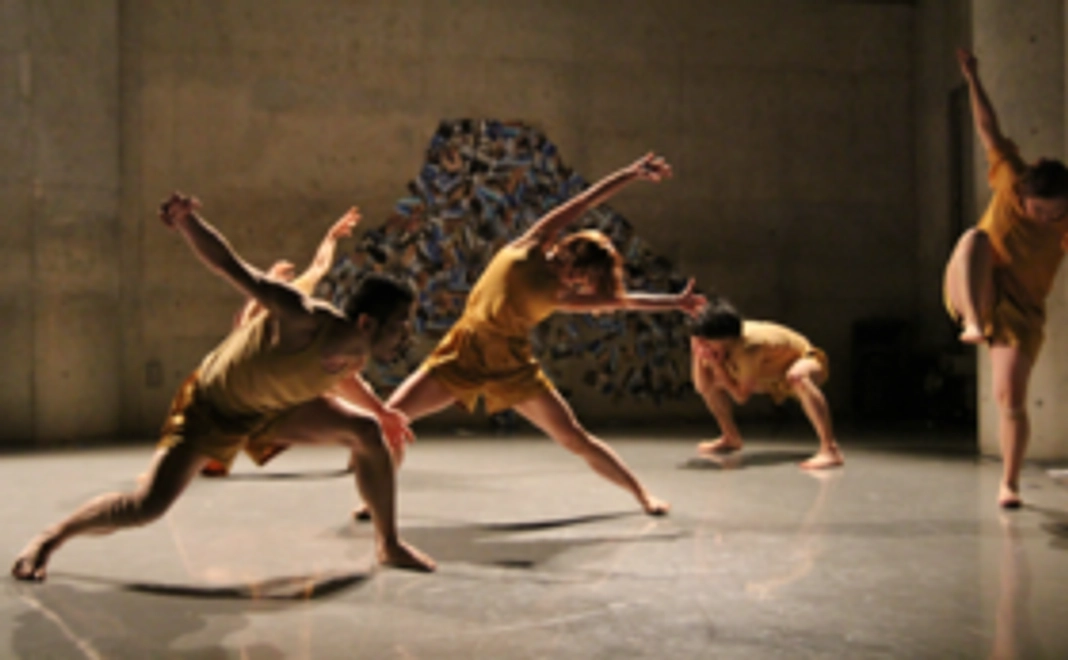 全力応援プラン