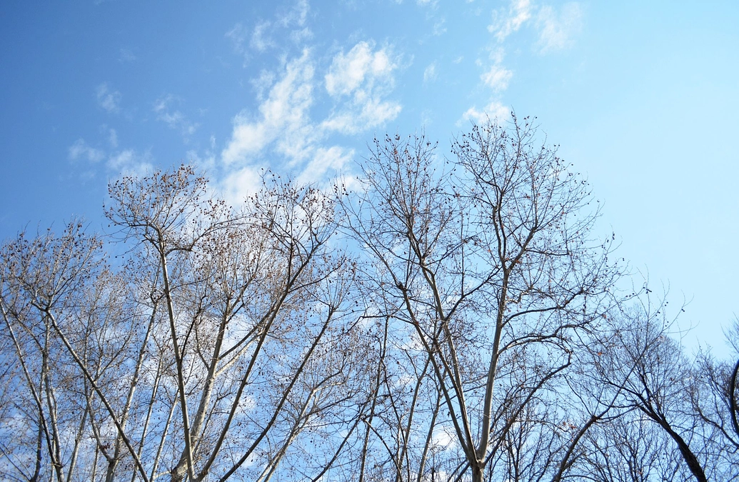 ご支援へのお礼と能登半島地震の発生を受けて