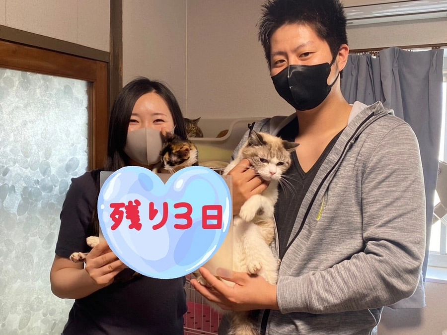 幸せ切符がどんどん届いています♪