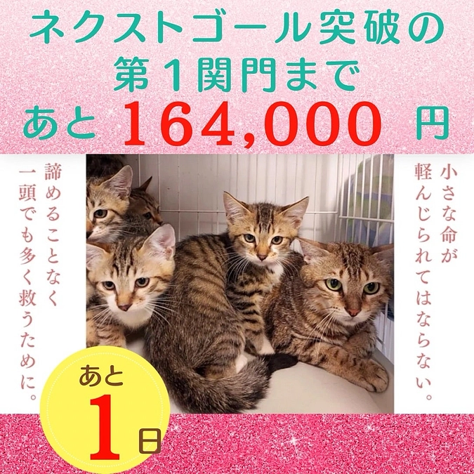 ネクストゴール達成のための、第１関門！ 今日中に、あと16万4000円！