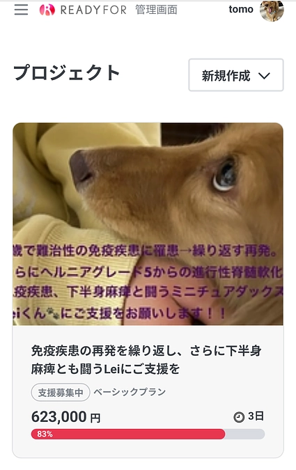 あと3日となりました