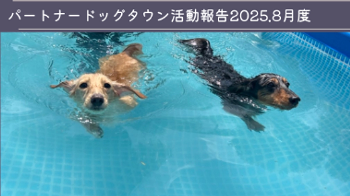   2025年８月度活動報告