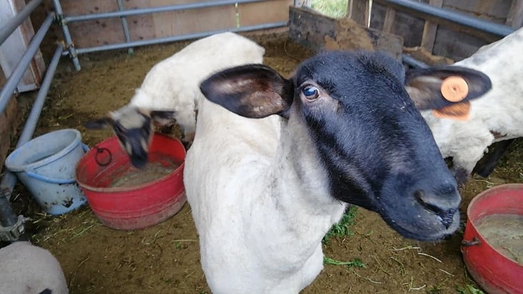 想いが詰まった山元夢ファーム。新しい一歩を踏み出します。