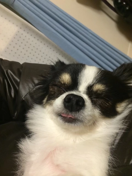 今日からスタートしました