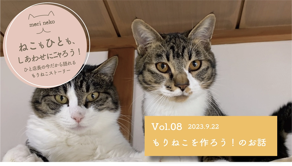 ねこもひとも、しあわせにニャろう！　vol.8
