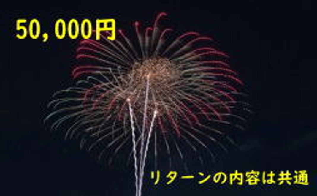 50,000円+システム利用料（220円）