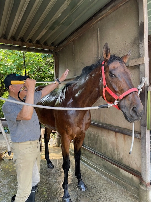 乗馬をされている方向けの本を出版しました。