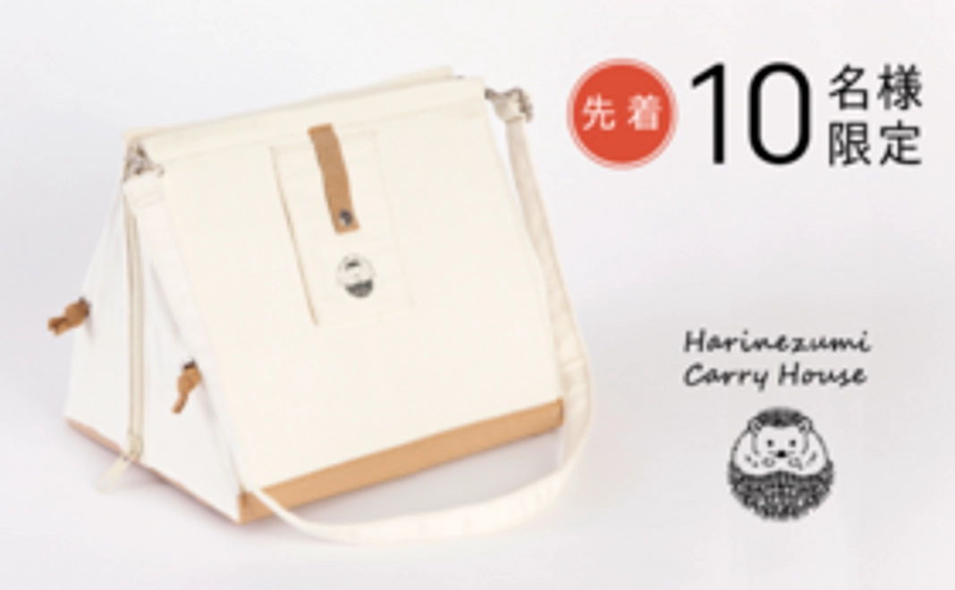 【20%OFF】READYFOR 早割価格